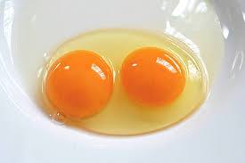 ovos