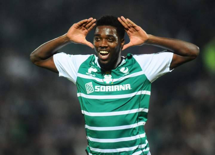 djaniny3