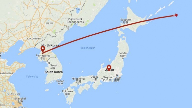 grafico coreia