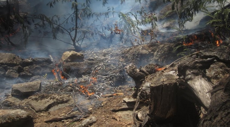 incendionoPerímetro do Planalto Leste