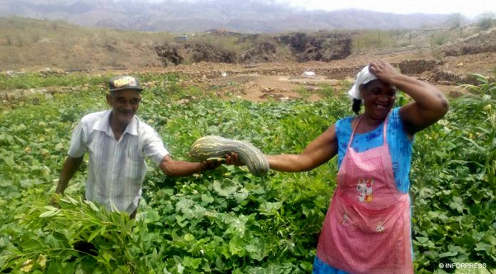 Agricultura