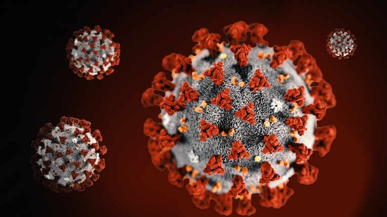 Coronavirus COVID 19 AP GB 2