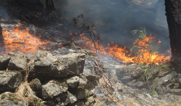 Incendio Sto Antão2