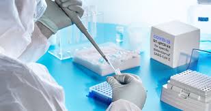 covid pcr
