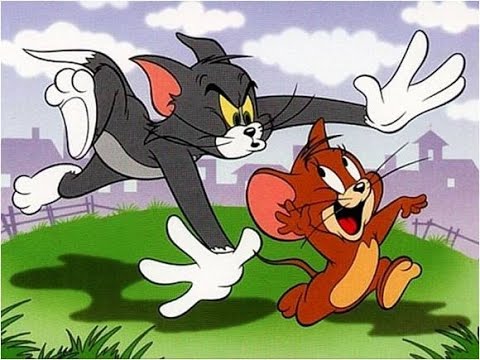 gatoerato