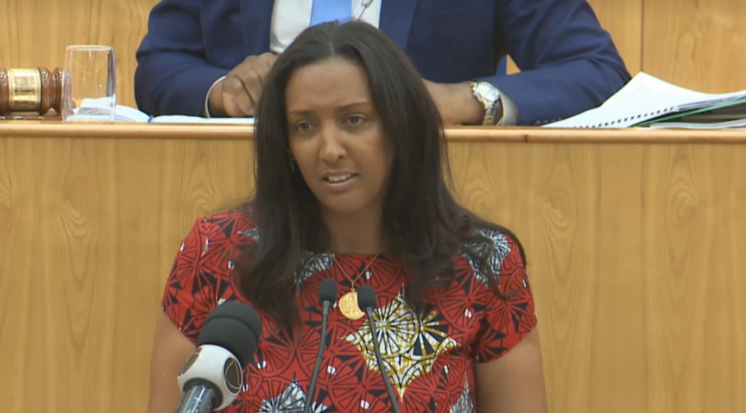 janira parlamento2