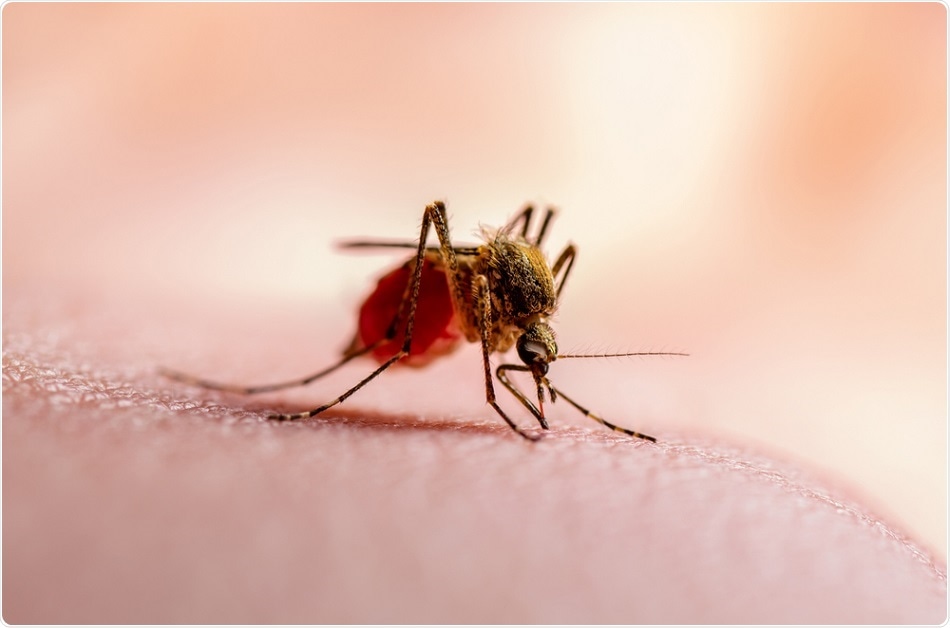 malaria