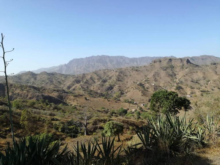 mundo rural