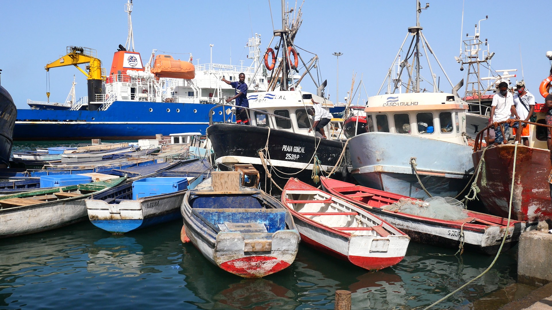 pesca