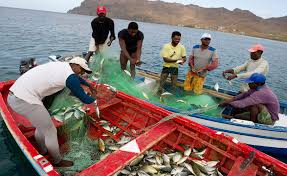 pescadores