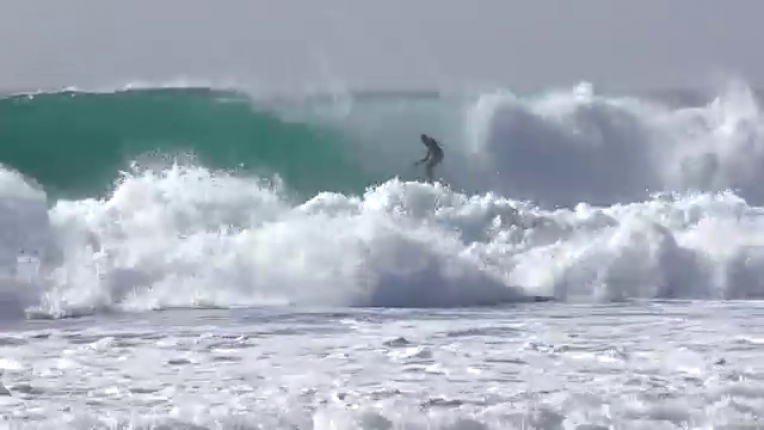 ponta preta