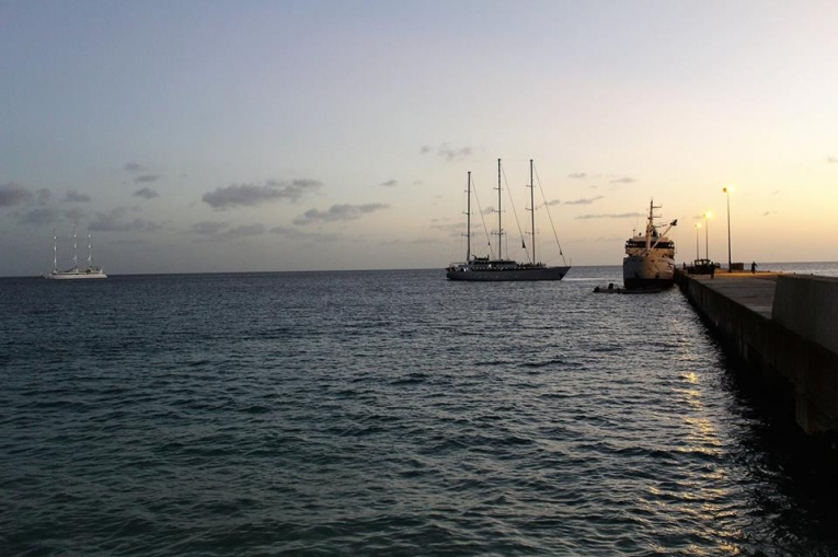 porto do maio